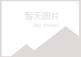 汶川县字迹造纸有限公司